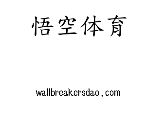 深圳市悟空体育电子有限公司官网